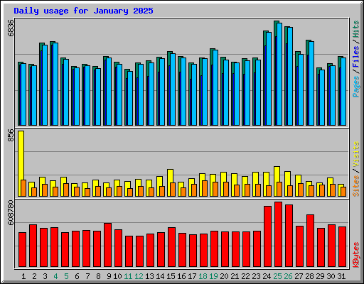 Daily usage for January 2025