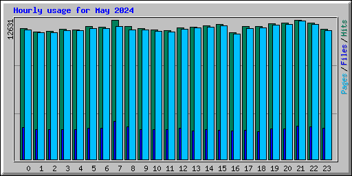 Hourly usage for May 2024