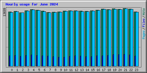 Hourly usage for June 2024