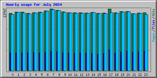 Hourly usage for July 2024