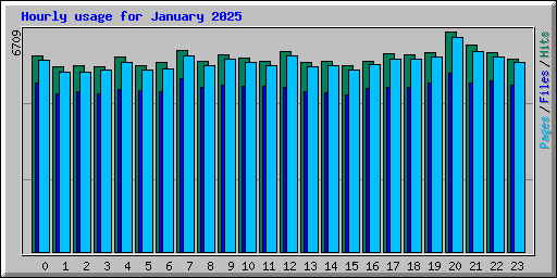 Hourly usage for January 2025