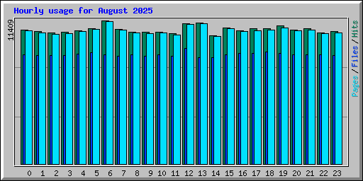 Hourly usage for August 2025