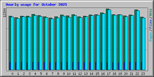 Hourly usage for October 2025